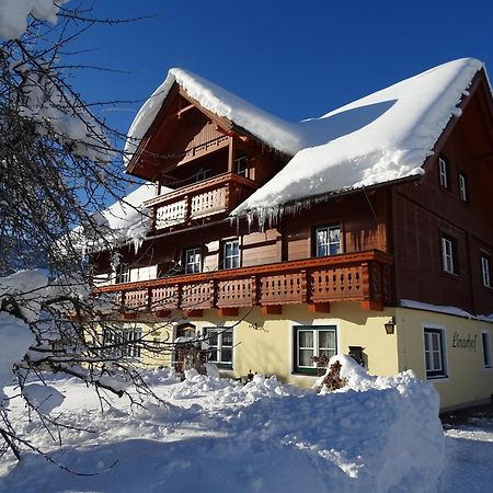 Linarhof Apartment Urlaub Am Bio Bauernhof 恩斯塔尔豪斯 外观 照片