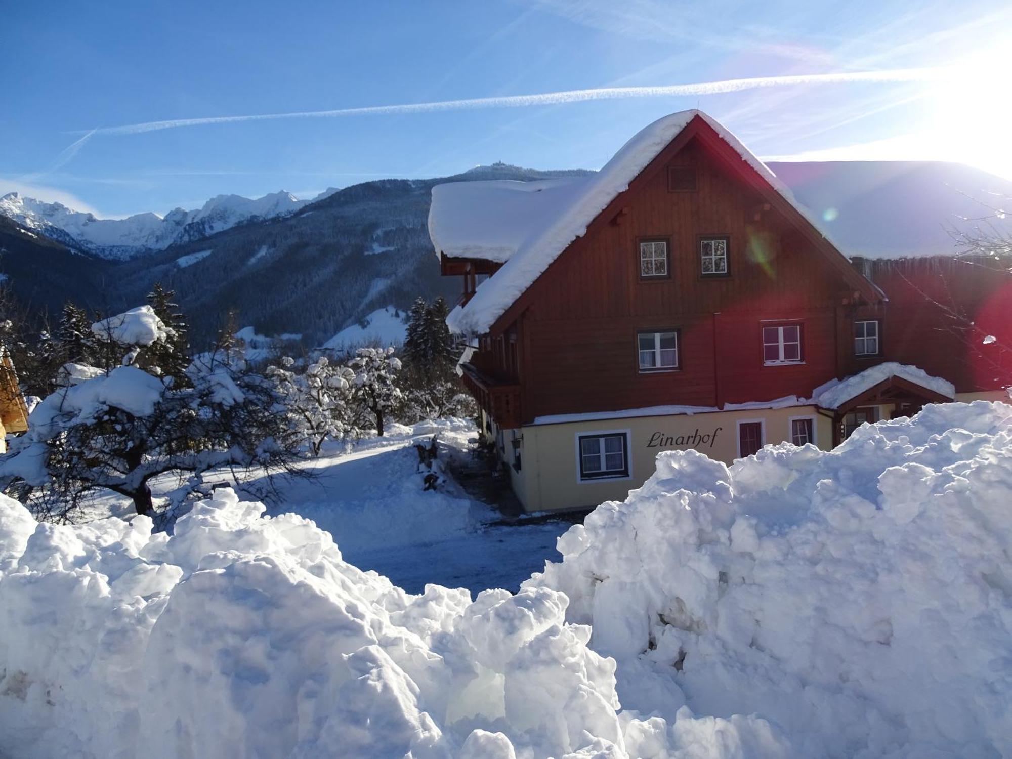 Linarhof Apartment Urlaub Am Bio Bauernhof 恩斯塔尔豪斯 外观 照片