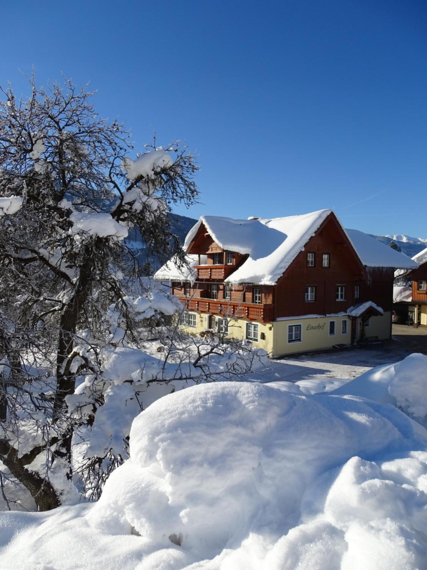 Linarhof Apartment Urlaub Am Bio Bauernhof 恩斯塔尔豪斯 外观 照片