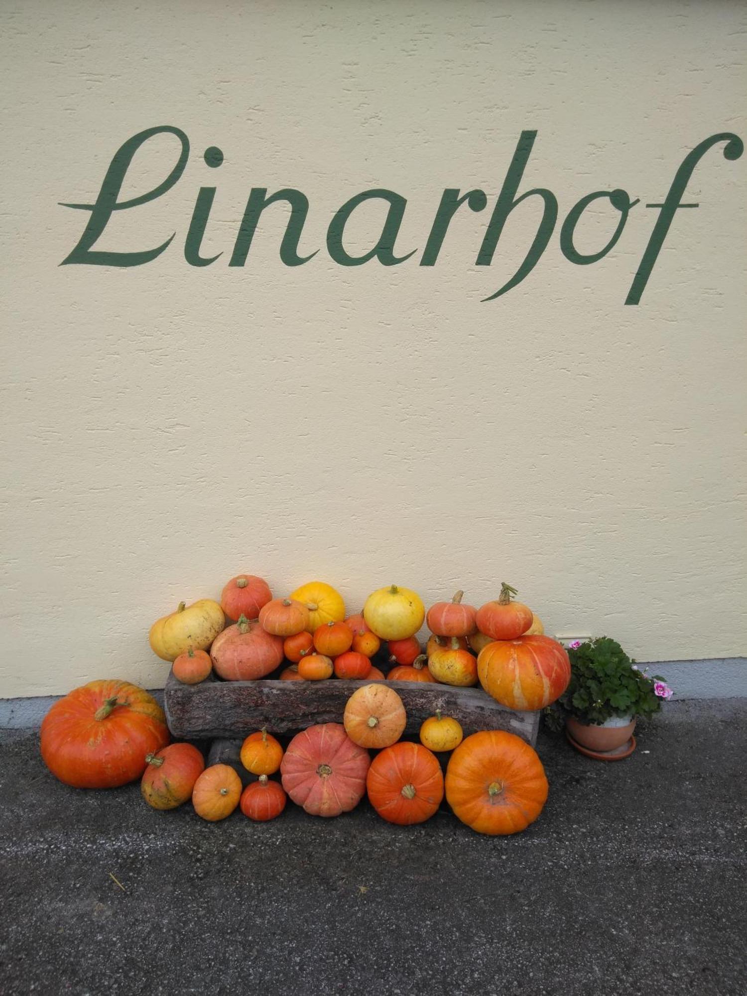 Linarhof Apartment Urlaub Am Bio Bauernhof 恩斯塔尔豪斯 外观 照片