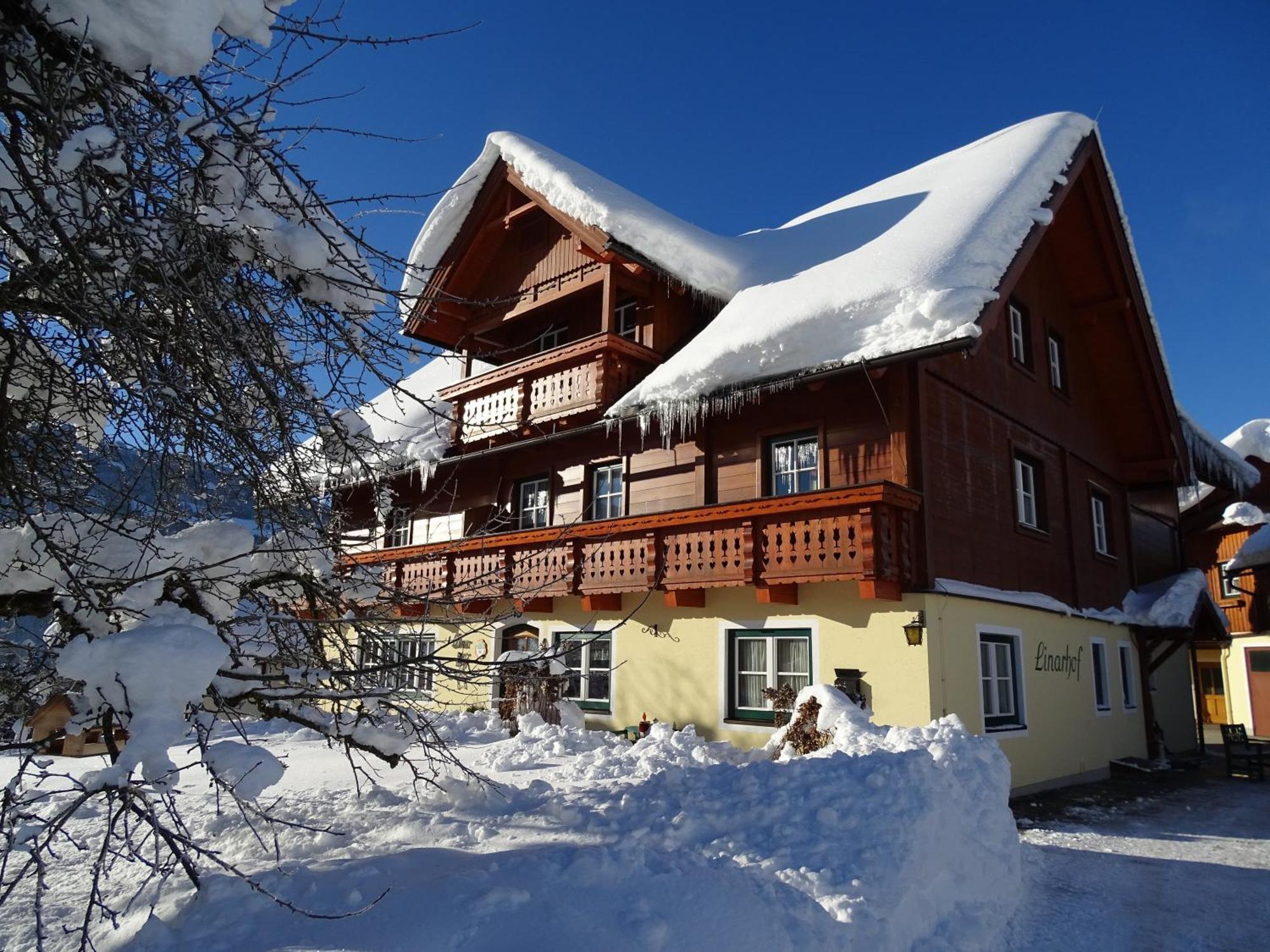Linarhof Apartment Urlaub Am Bio Bauernhof 恩斯塔尔豪斯 外观 照片